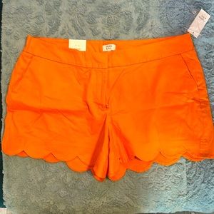 Crown and Ivy shorts